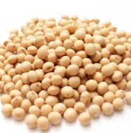 Soya Proteininin Faydaları - Yararları Nelerdir?